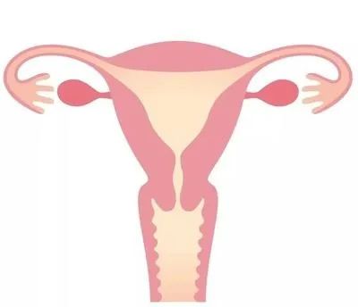 伤害子宫的几种行为，你都中招了吗？