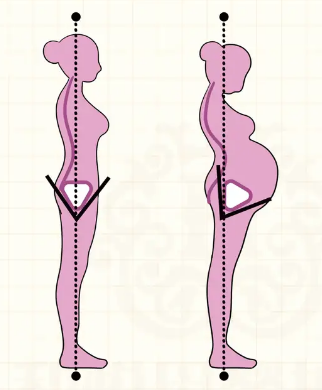 产后蝶变指南：科学恢复孕期体形的黄金策略