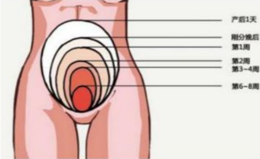 产康知识，那些绝对不能错过的产康项目