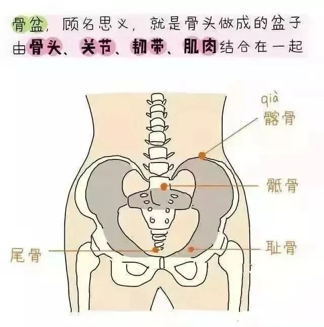 产后骨盆康复操